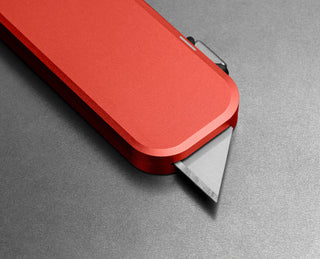 The Palmer | Coral